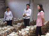 Đào tạo nghề, giải quyết việc làm ở Quảng Ninh
